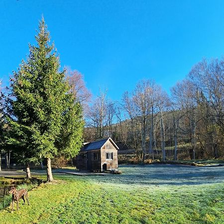 Insolite Tiny House Serenite Bien Etre Ban-sur-Meurthe-Clefcy Εξωτερικό φωτογραφία