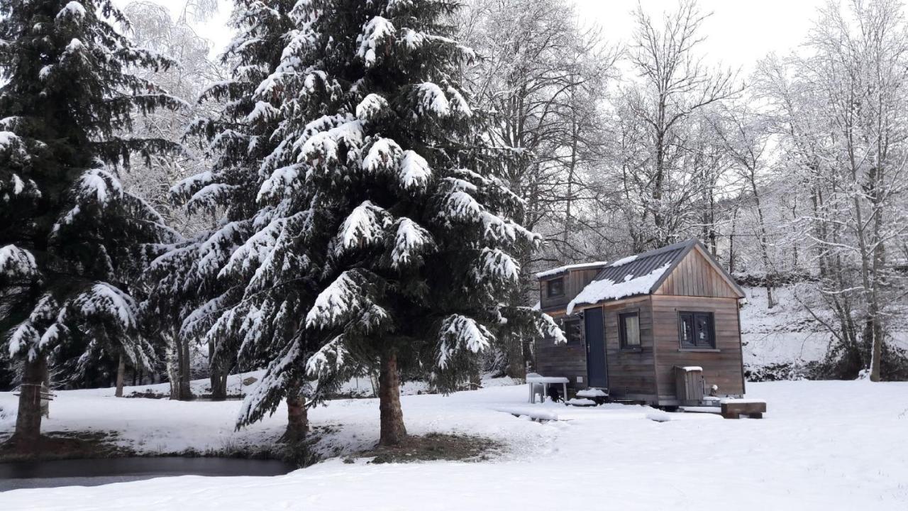 Insolite Tiny House Serenite Bien Etre Ban-sur-Meurthe-Clefcy Εξωτερικό φωτογραφία