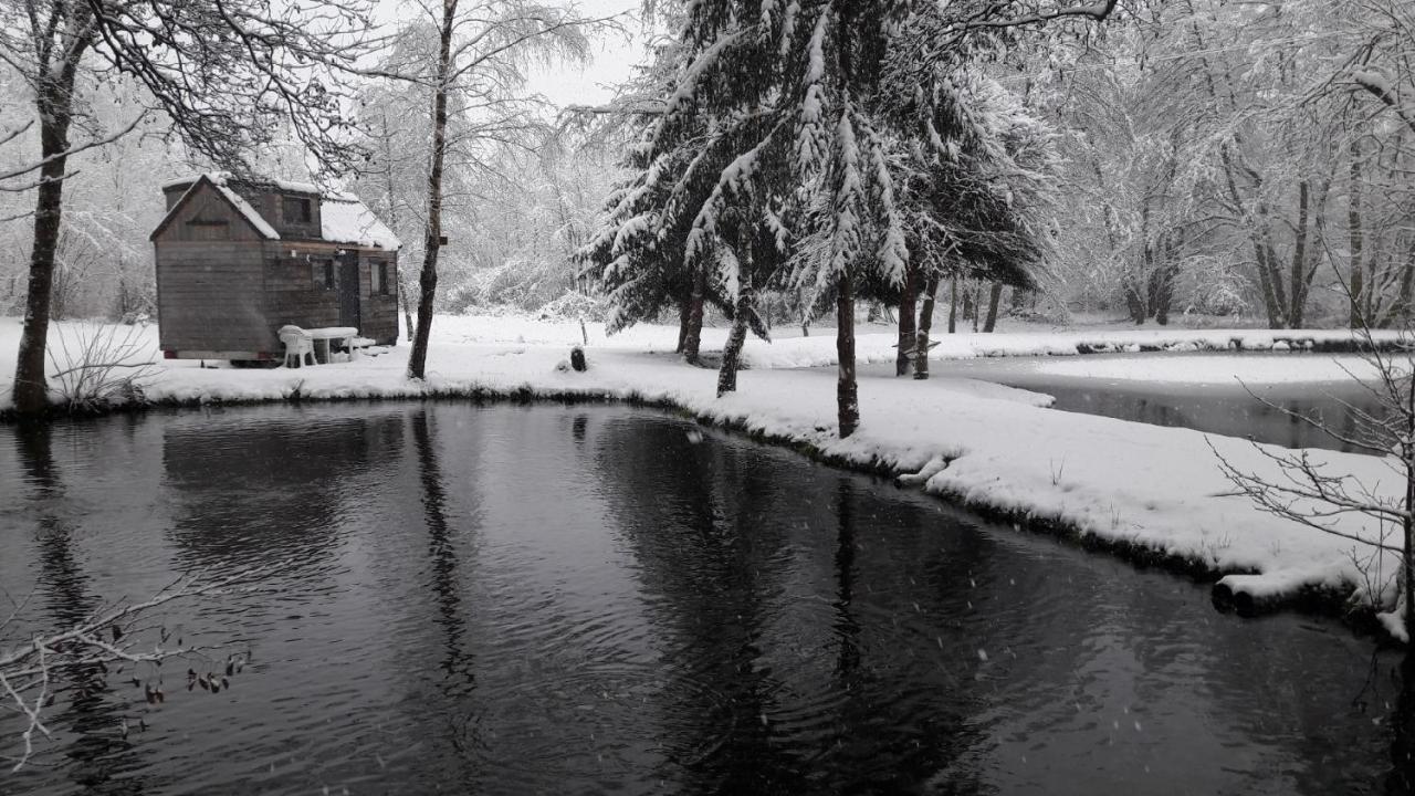 Insolite Tiny House Serenite Bien Etre Ban-sur-Meurthe-Clefcy Εξωτερικό φωτογραφία
