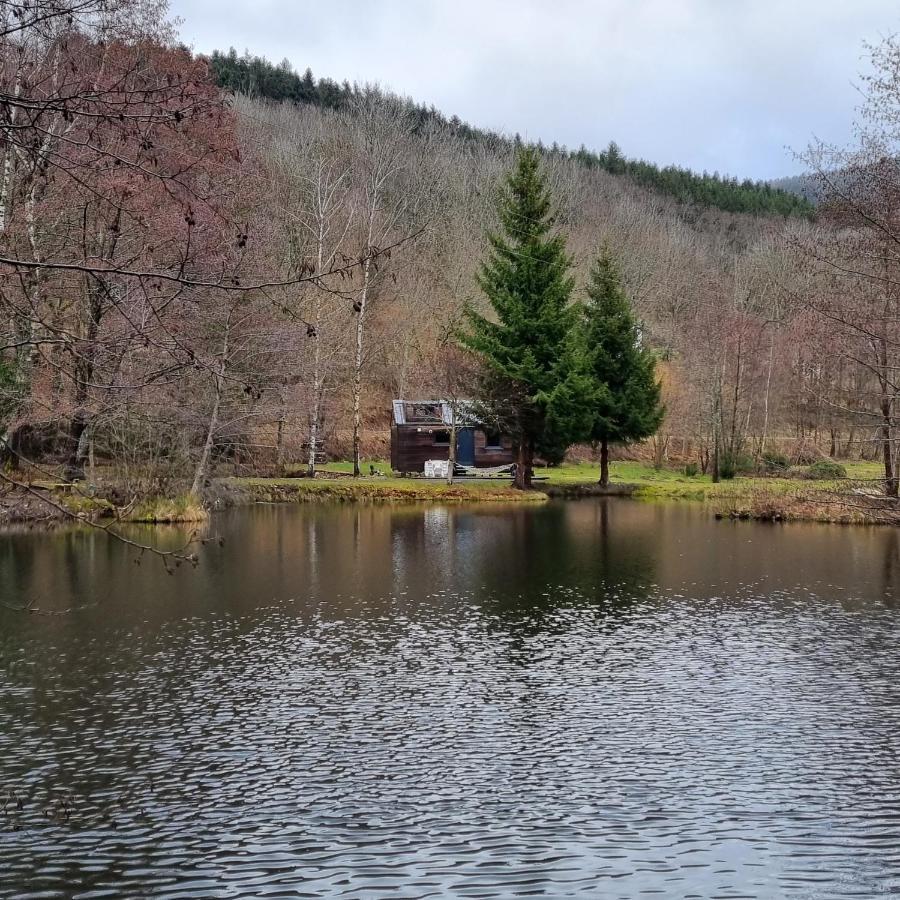 Insolite Tiny House Serenite Bien Etre Ban-sur-Meurthe-Clefcy Εξωτερικό φωτογραφία