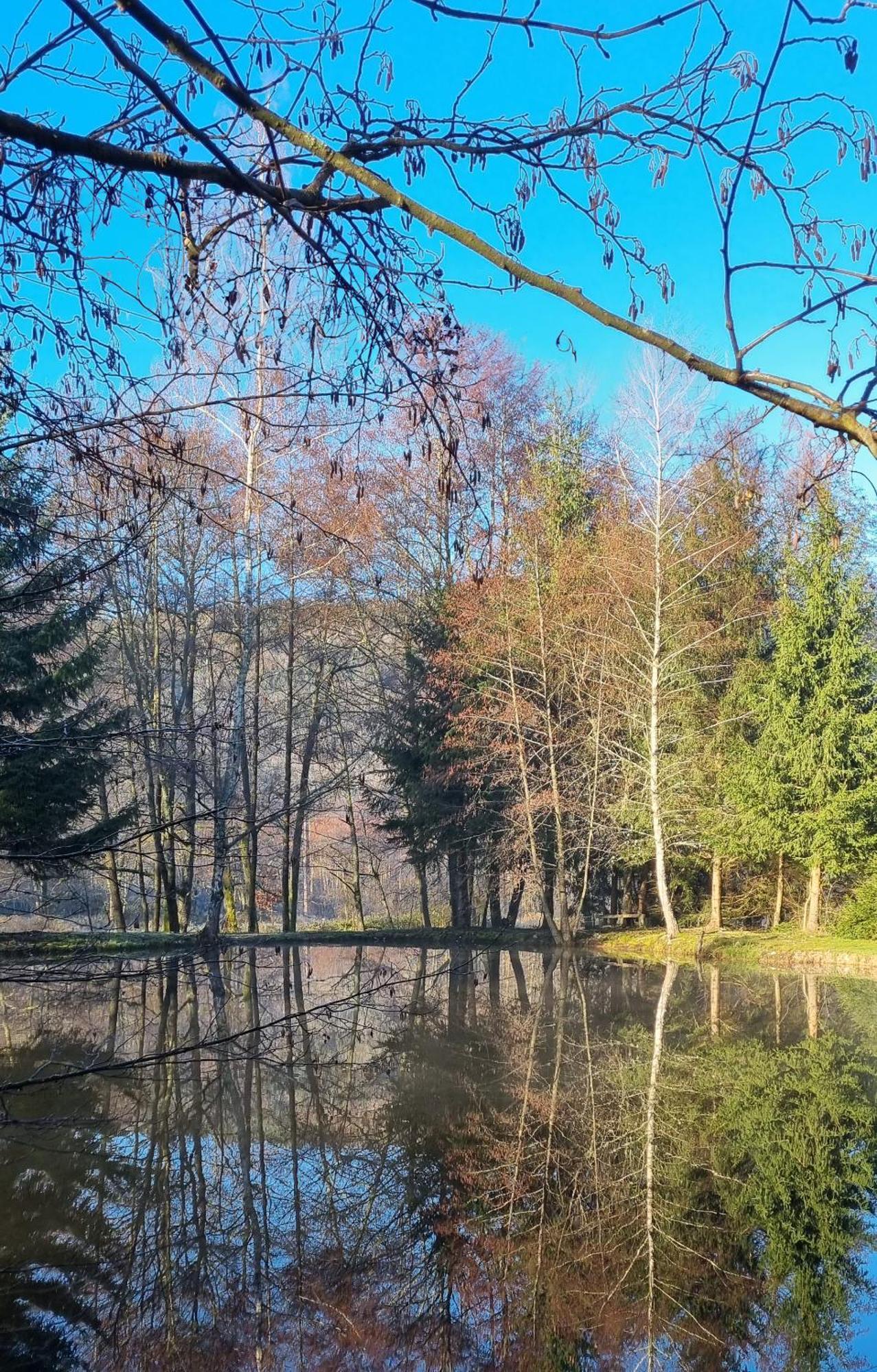 Insolite Tiny House Serenite Bien Etre Ban-sur-Meurthe-Clefcy Εξωτερικό φωτογραφία